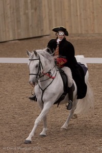 Lusitano Breed Society of Great Britain Show - Hartpury College - 27th June 2009